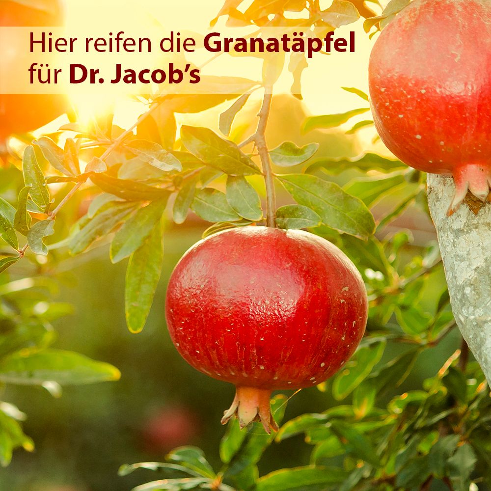 Dr. Jacob's Granatapfel-Elixier mediterran Granatapfelsaft hochkonzentriert