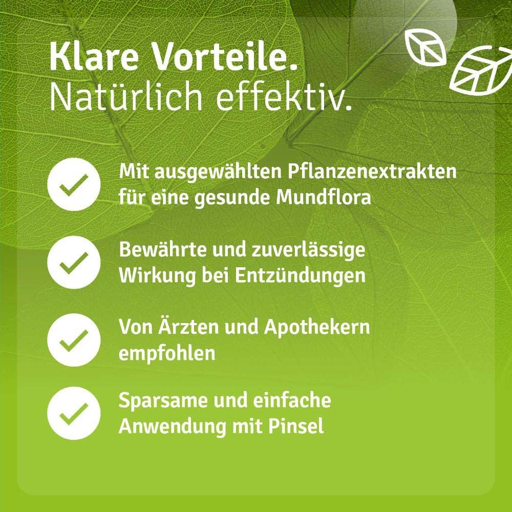 Produktflasche. Vorteile: Pflanzenextrakte, Wirkung bei Entzündungen, empfohlen von Ärzten und Apothekern, einfache Anwendung.