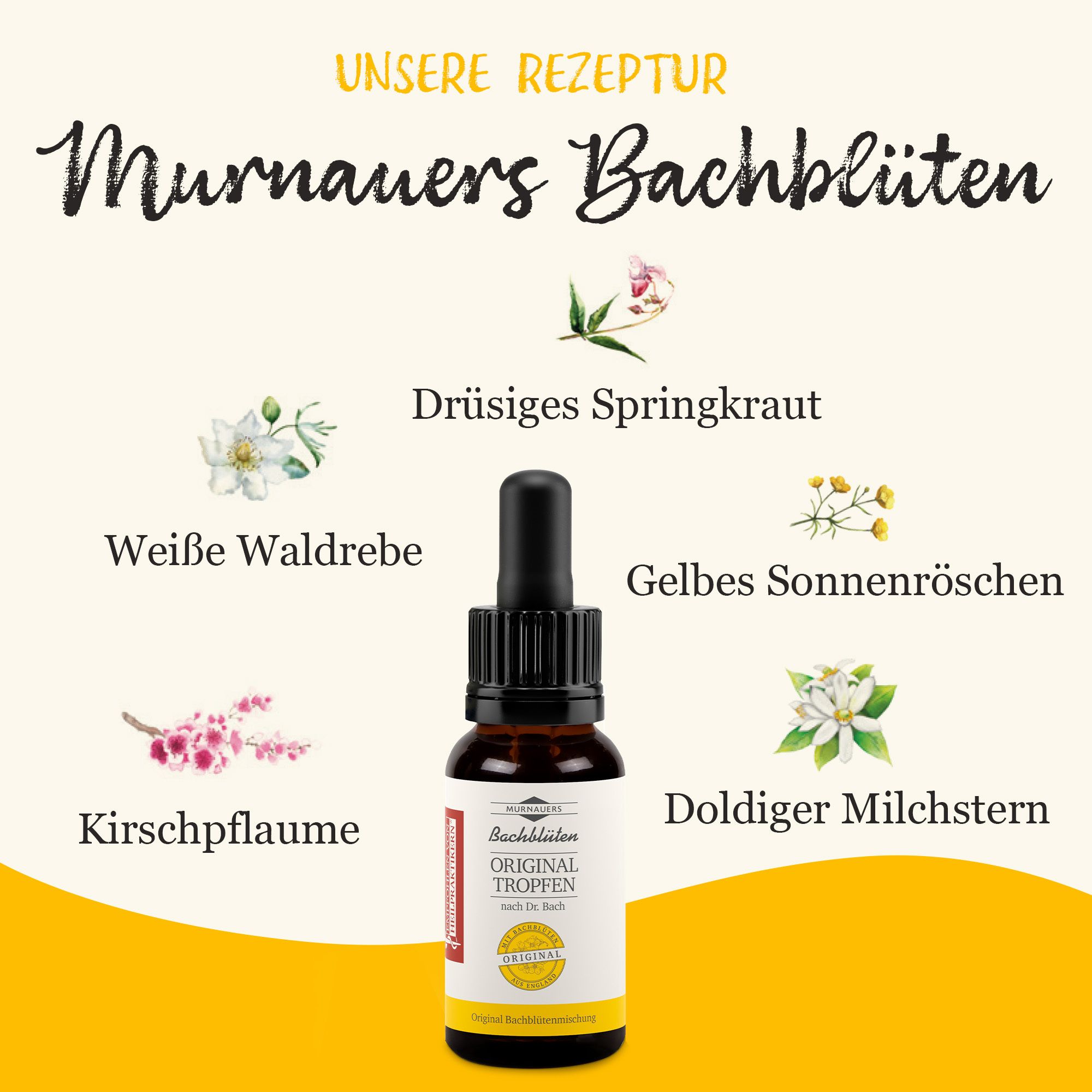 MURNAUERS Bachblüten Original Tropfen