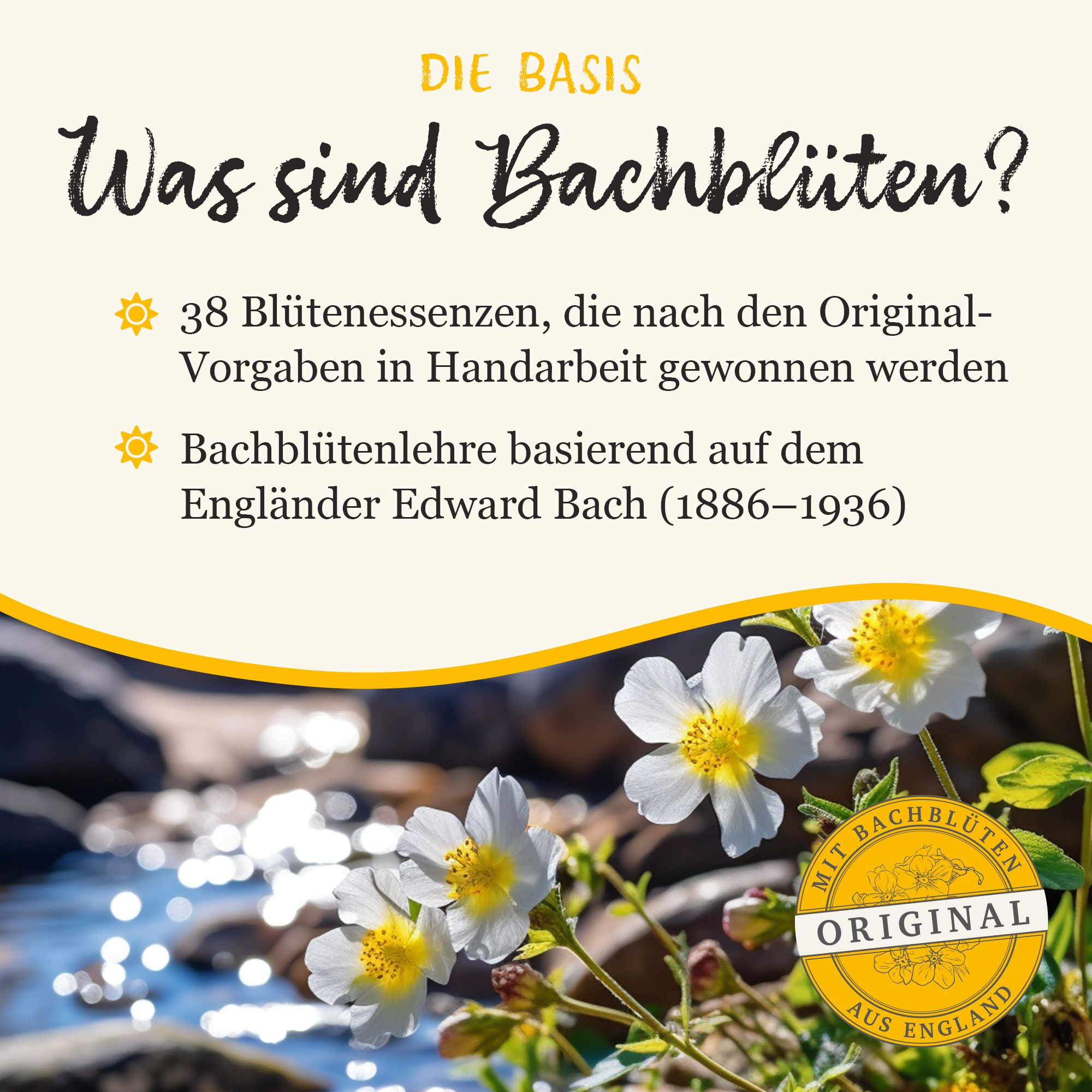 MURNAUERS Bachblüten Original Tropfen ohne Alkohol