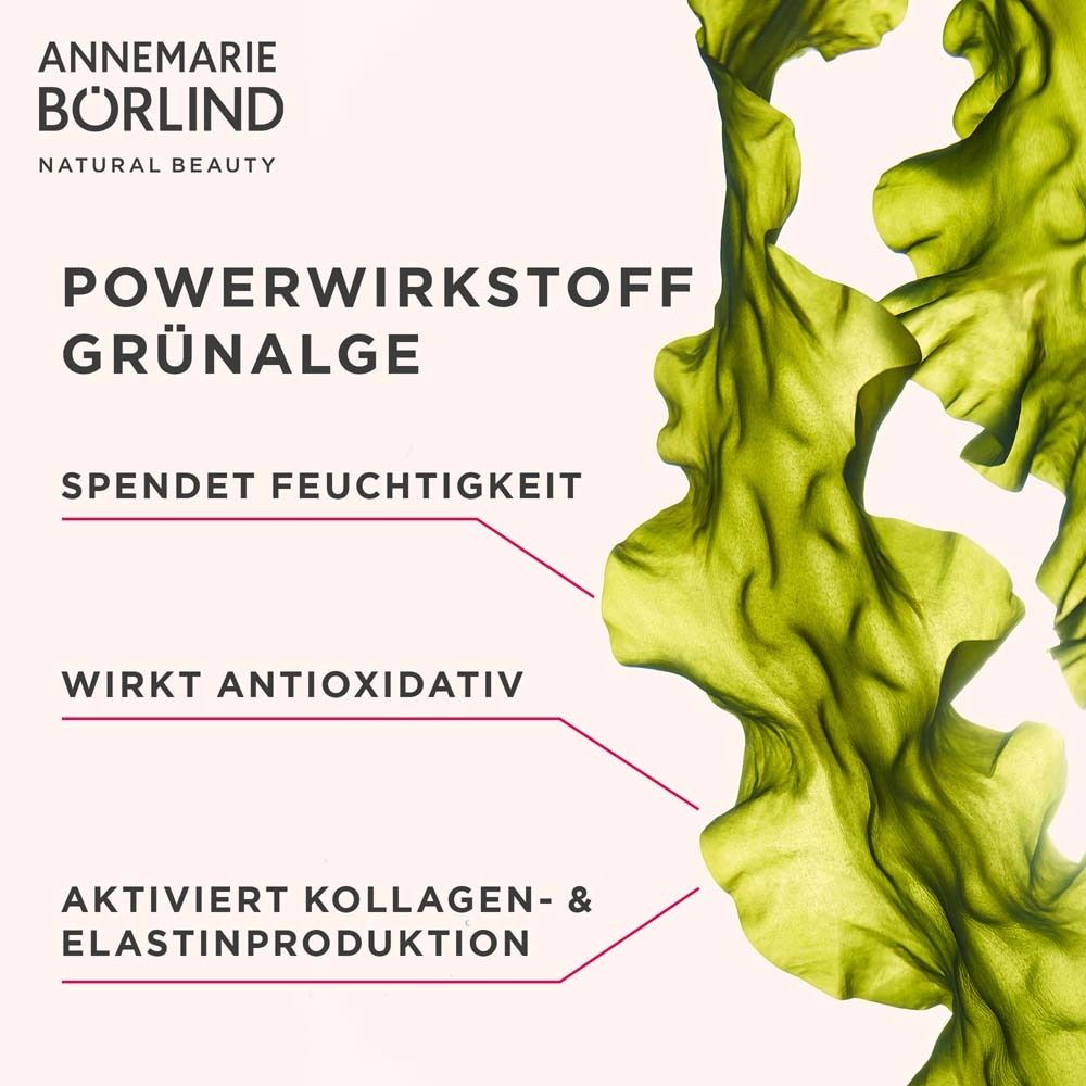 ANNEMARIE BÖRLIND SYSTEM ABSOLUTE Regenerierende Nachtcreme light