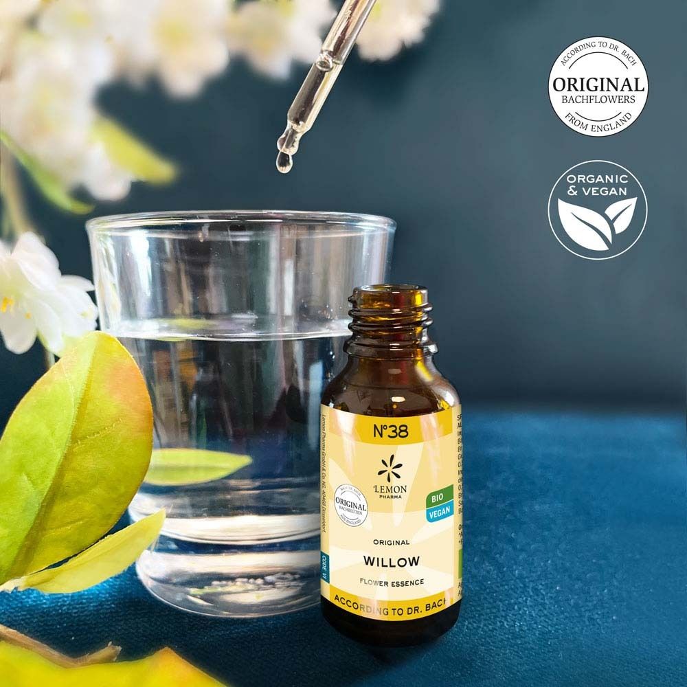 Braune Glasflasche mit gelbem Etikett neben einem Glas Wasser. Pipette tropft. Aufschrift: Willow Flower Essence.