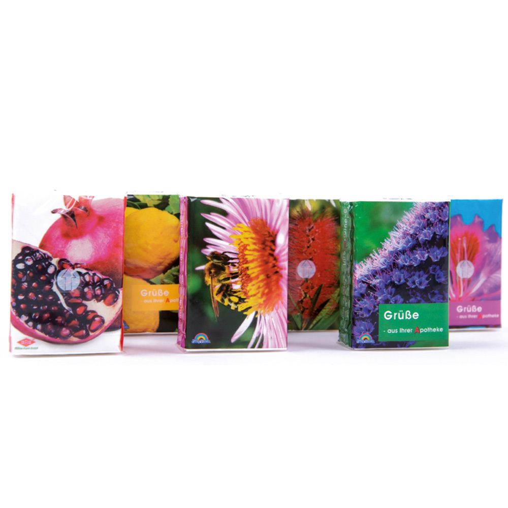 FRANK® Taschentücher Flora Pocket