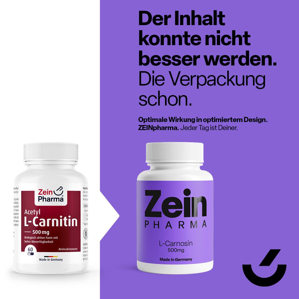 Acetyl L Carnitine capsules 500 mg ZeinPharma