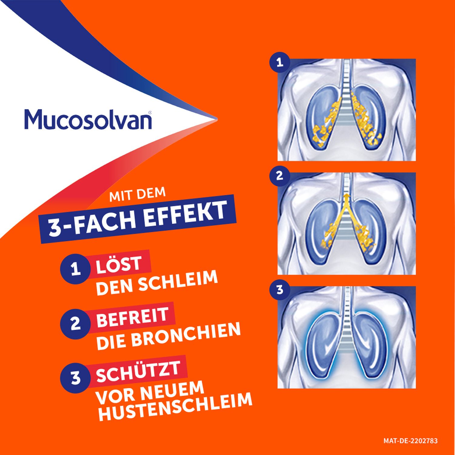 Grafik mit 3 Schritten: 1. Schleimlösung, 2. Bronchien befreien, 3. Schutz vor Hustenschleim. Text: 3-fach Effekt.