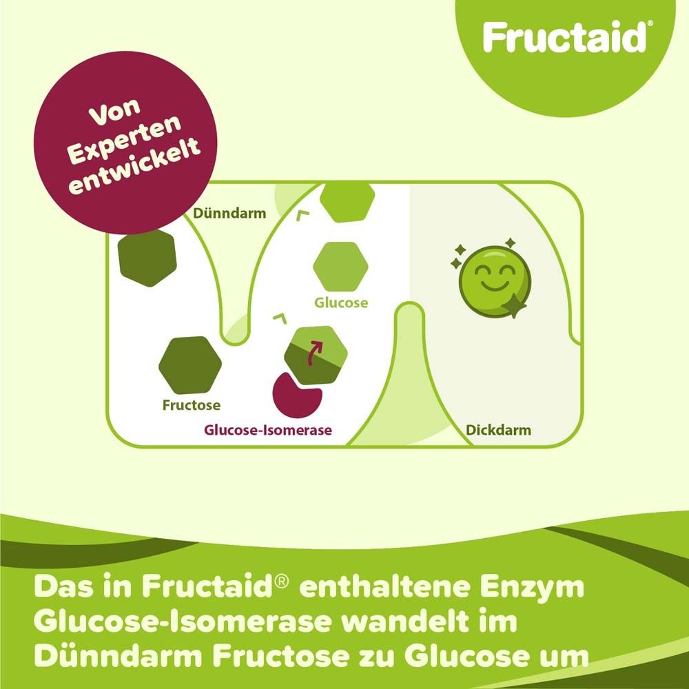 Graphique: Le fructose est transformé en glucose dans l'intestin grêle par la glucose-isomérase. Logo Fructaid.