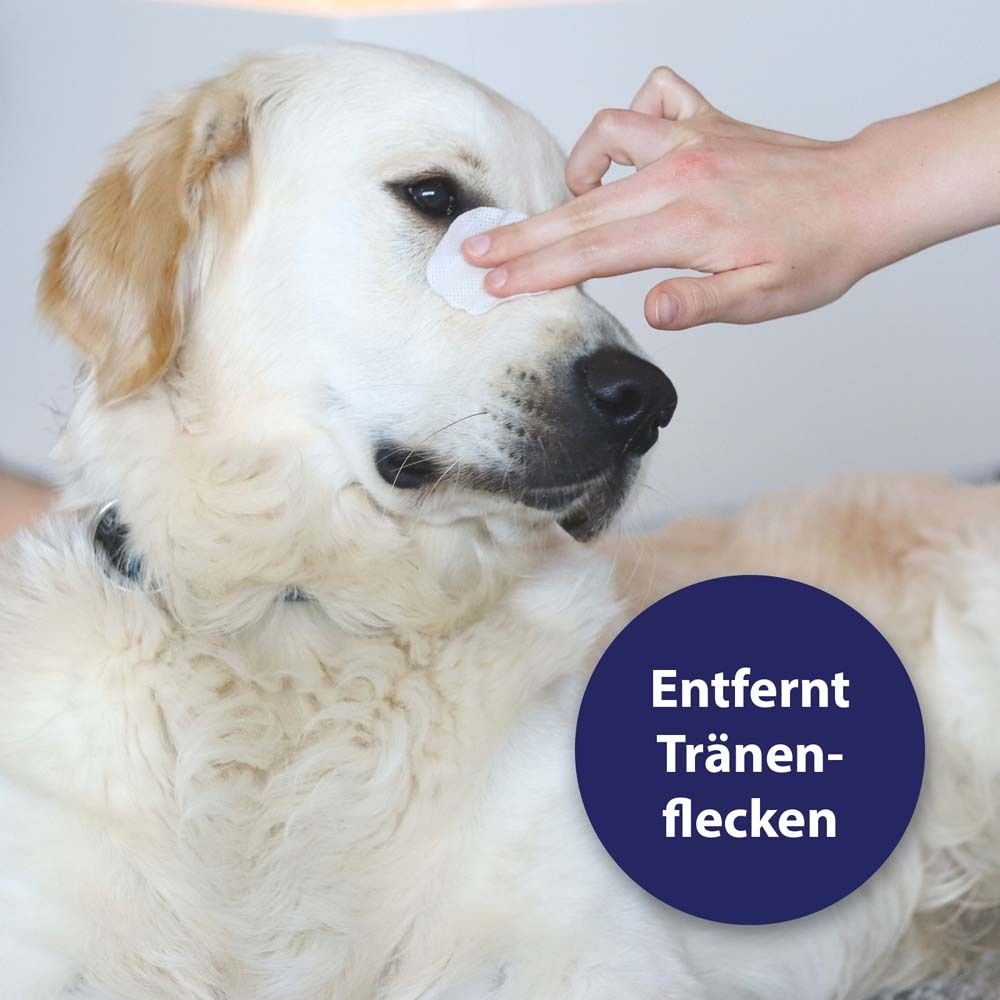 Chien avec coton sur l'œil. Cercle bleu avec texte : Enlève les taches de larmes.