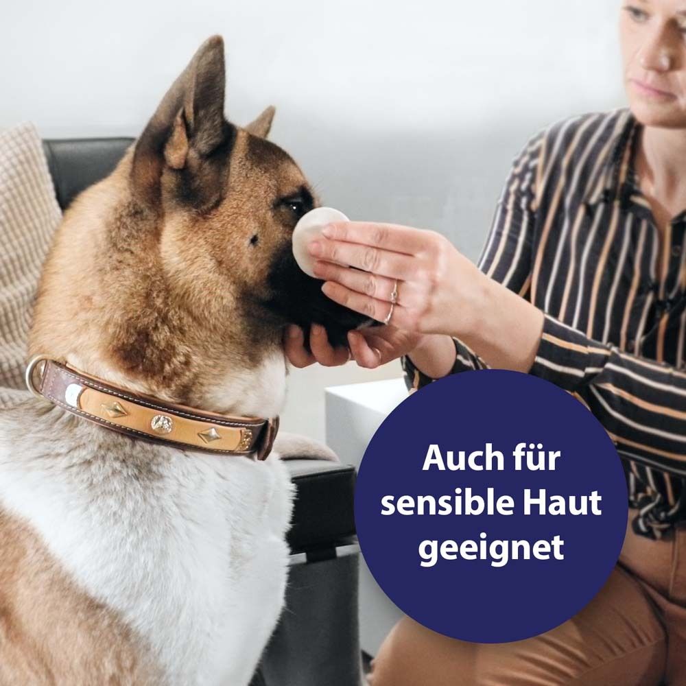 Chien avec coton sur l'œil. Cercle bleu avec texte : Convient également aux peaux sensibles.