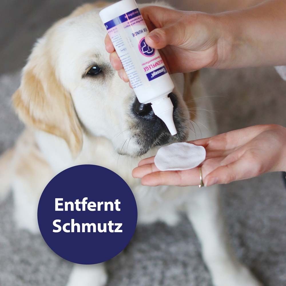 Chien avec produit sur l'œil. Cercle bleu avec texte : Enlève la saleté.