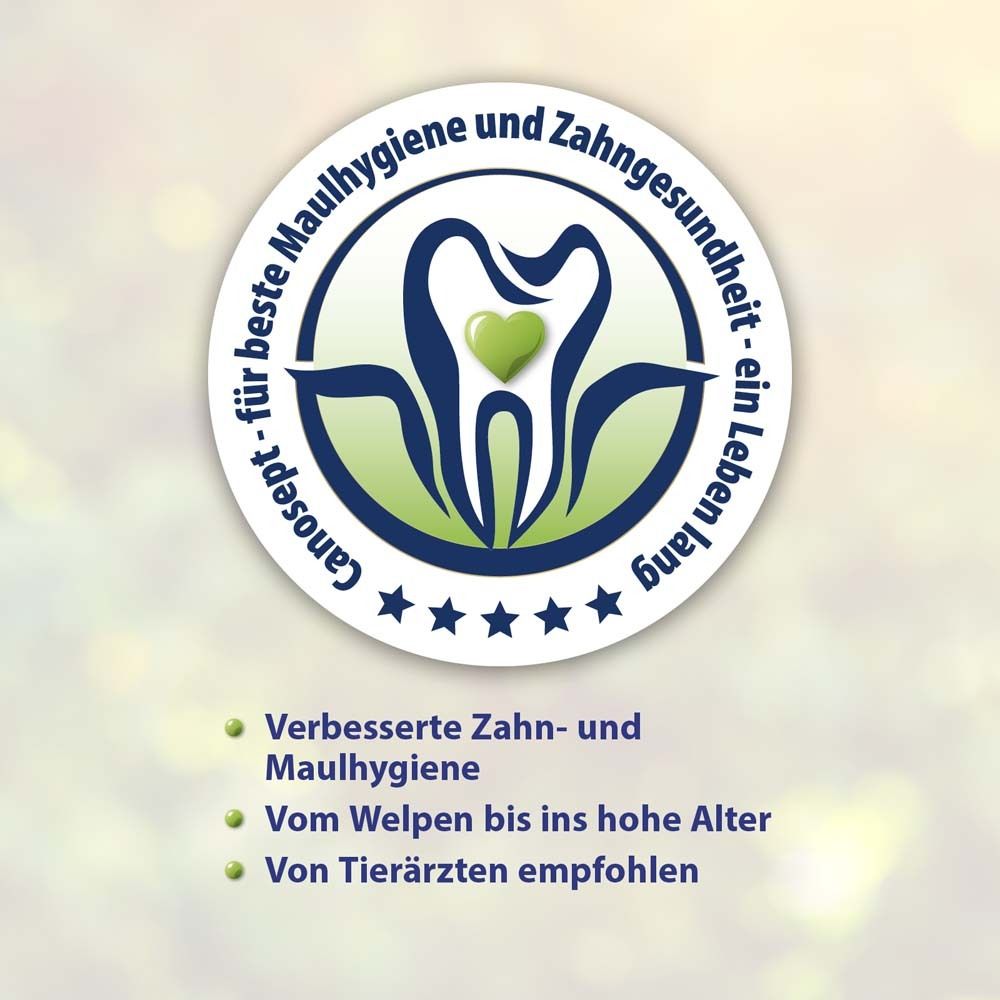 Logo mit Zahn und Herz. Aufschrift: Canosept, für beste Maulhygiene und Zahngesundheit. Sterne und Text.