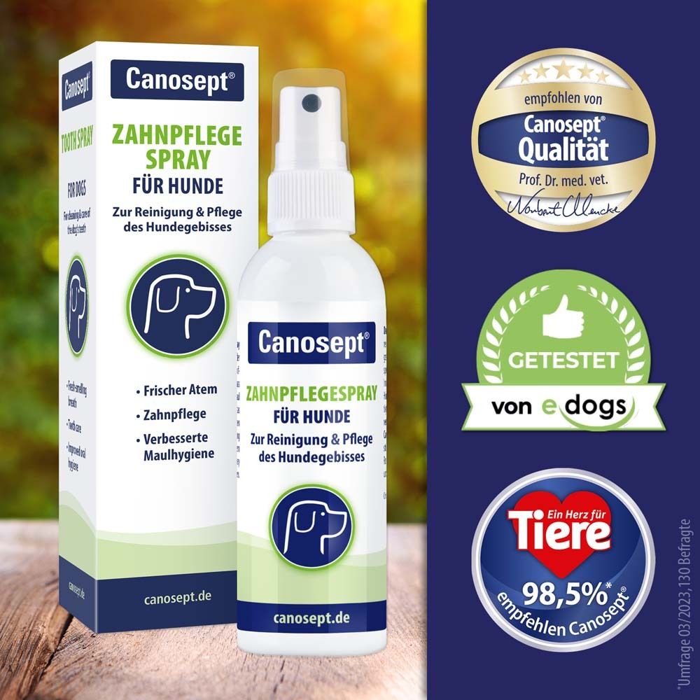 Canosept Zahnpflege Spray für Hunde. Flasche und Verpackung. Logos: Getestet, empfohlen von Tierärzten, Canosept Qualität.