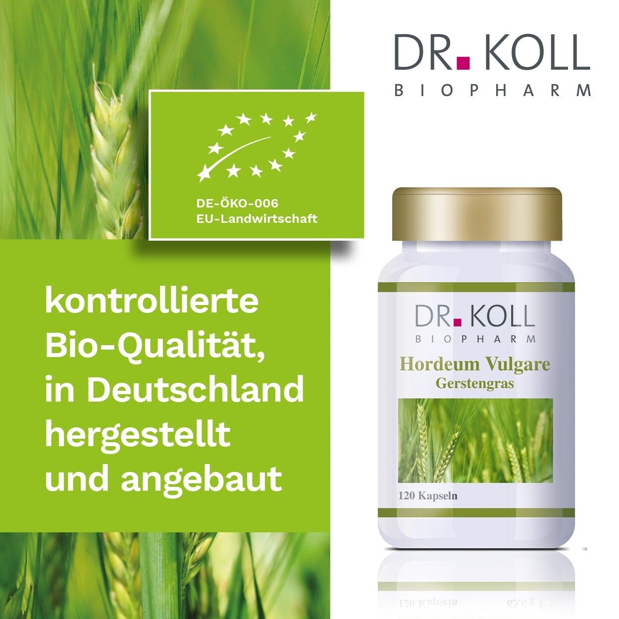 DR. KOLL Hordeum Vulgare Herbe d'orge