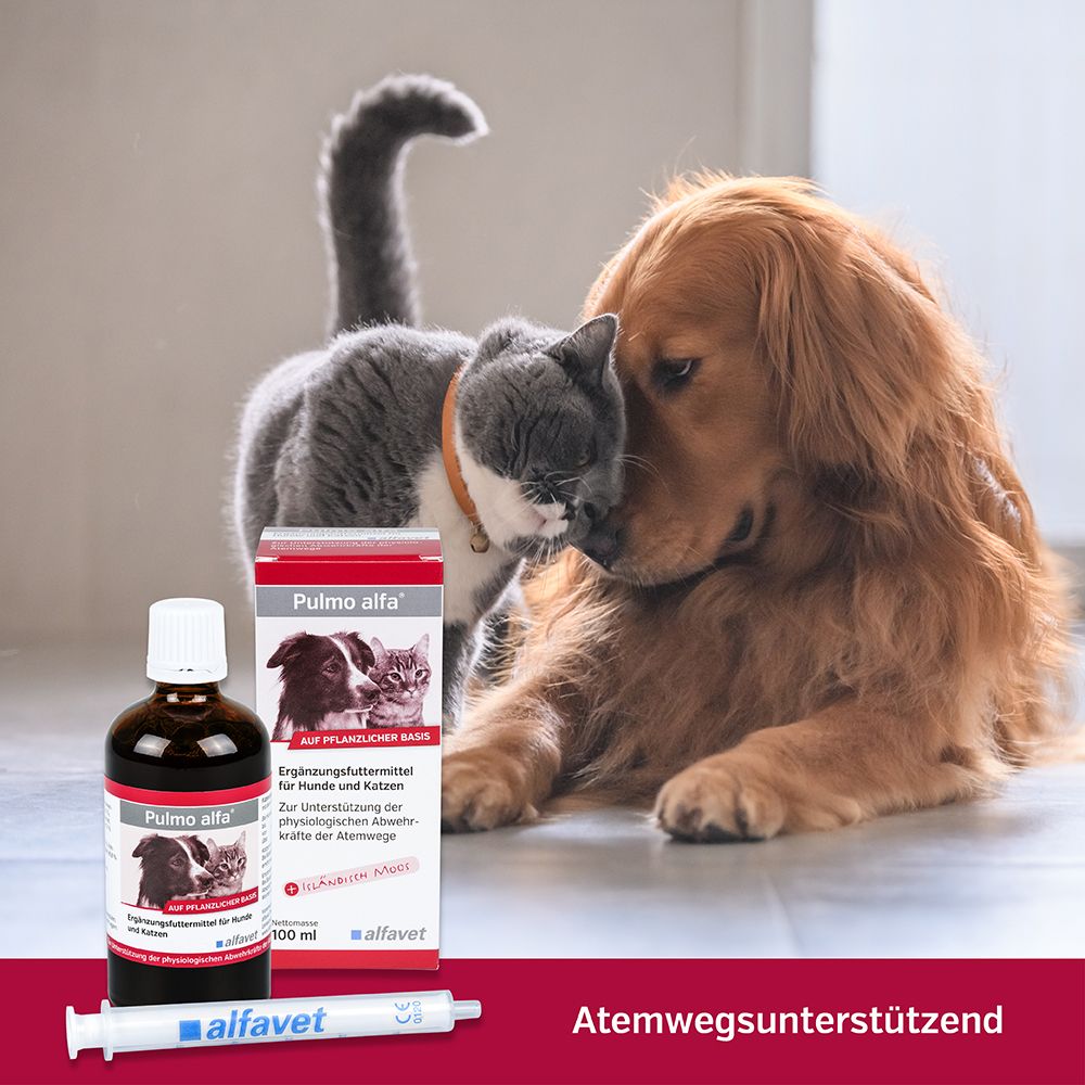 Pulmo alfa® pour chiens et chats