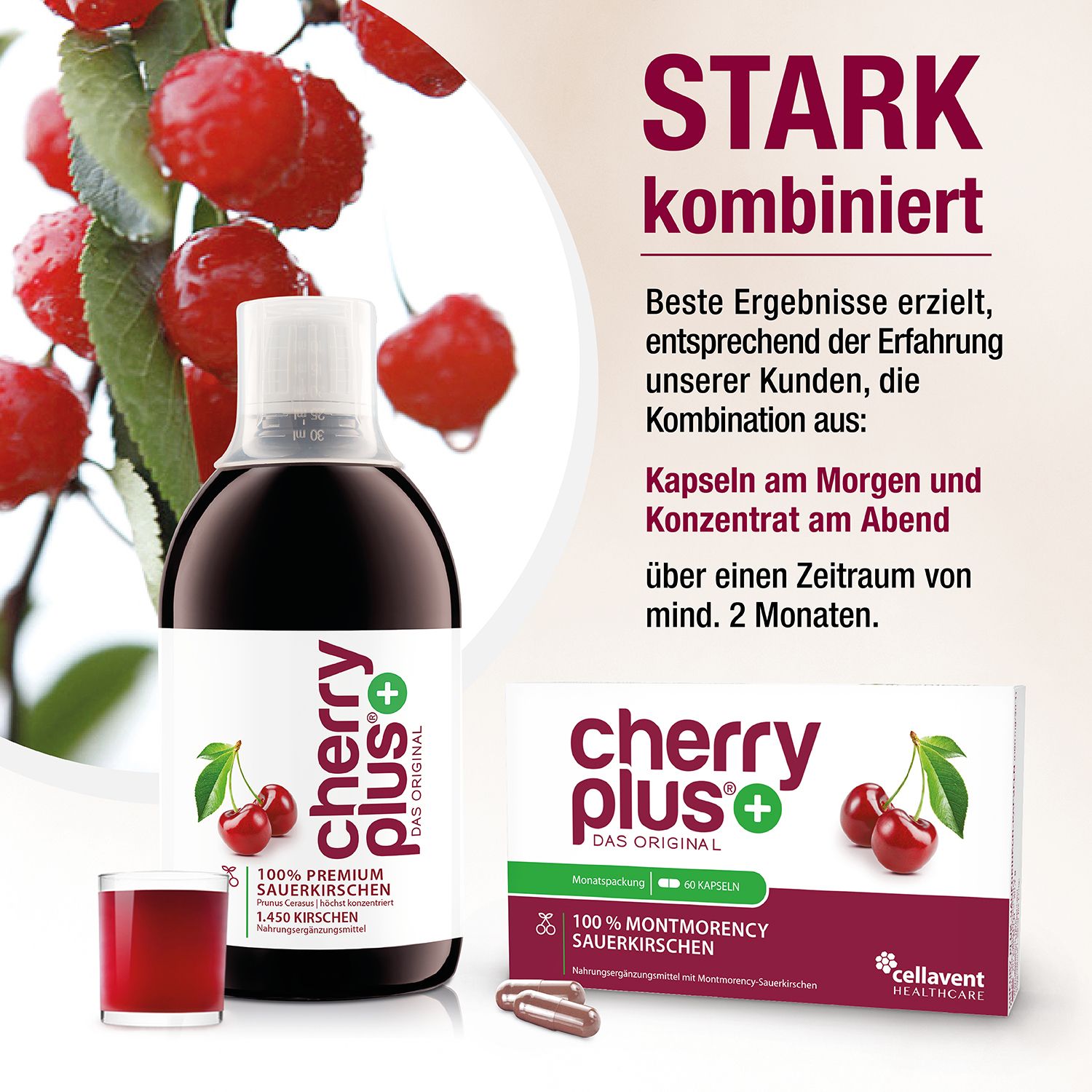 CHERRY PLUS Das Original Montmorency Sauerk.-Konz.