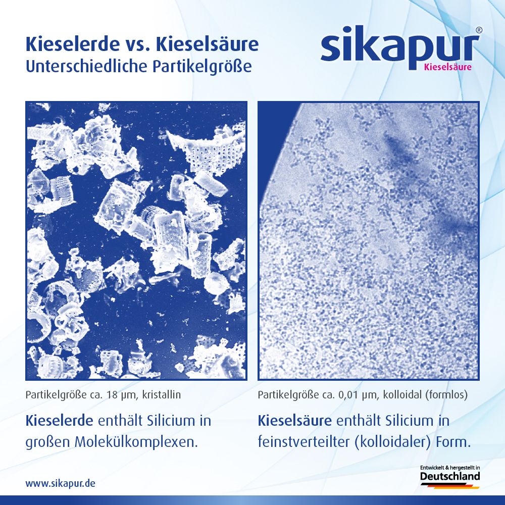 Comparaison : terre de diatomées vs. acide silicique. Images microscopiques. Texte : Différentes tailles de particules. La terre de diatomées contient du silicium.