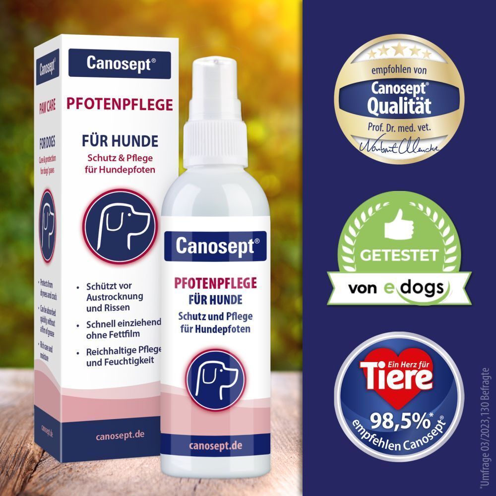 Canosept® soin des pattes pour chiens