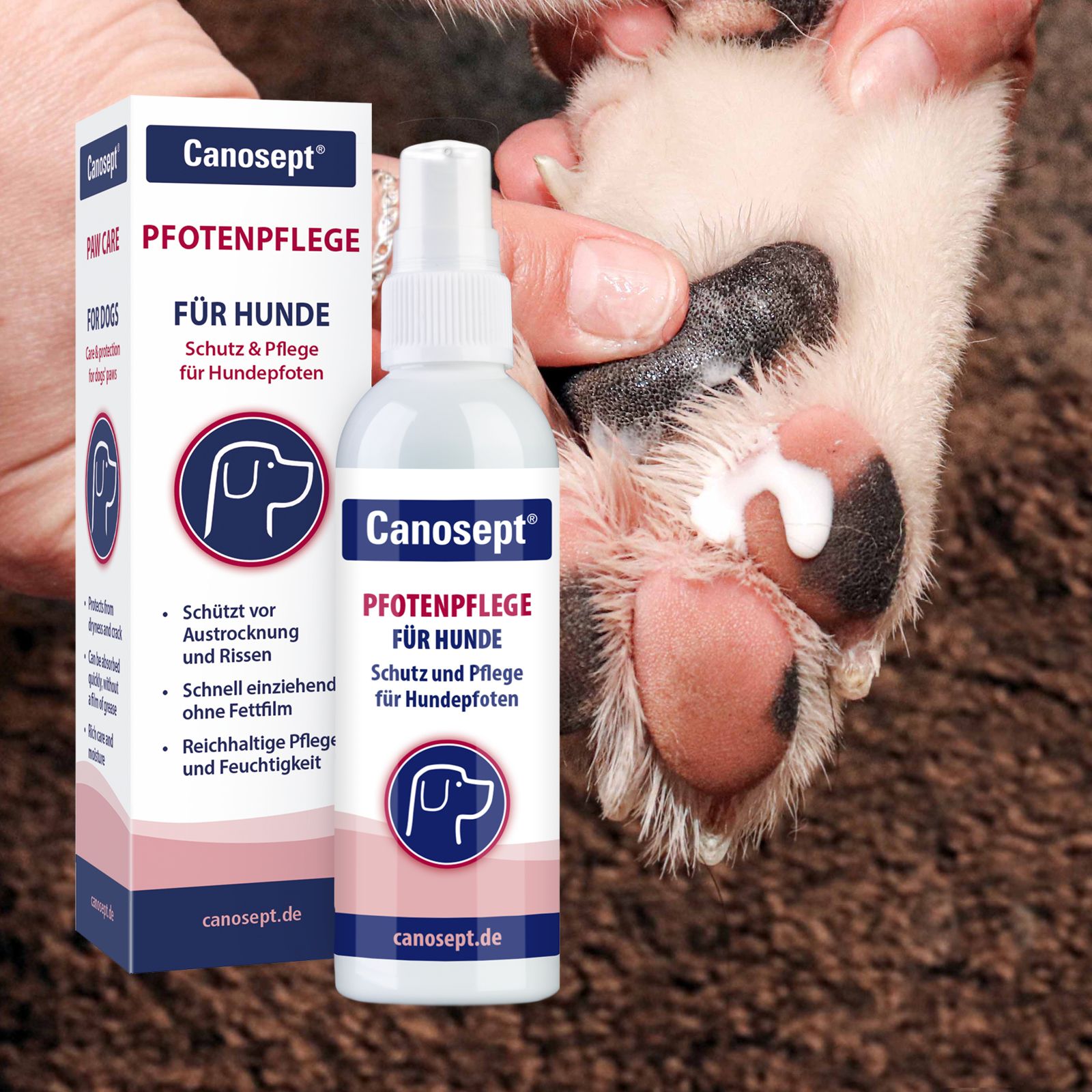 Canosept® soin des pattes pour chiens