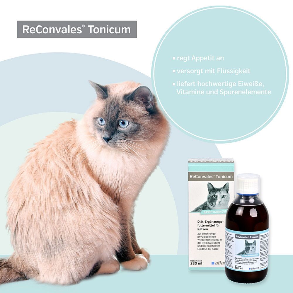 ReConvales® Tonicum pour chats