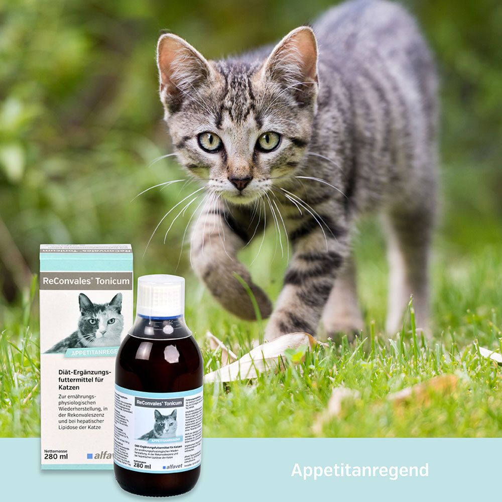 ReConvales® Tonicum pour chats