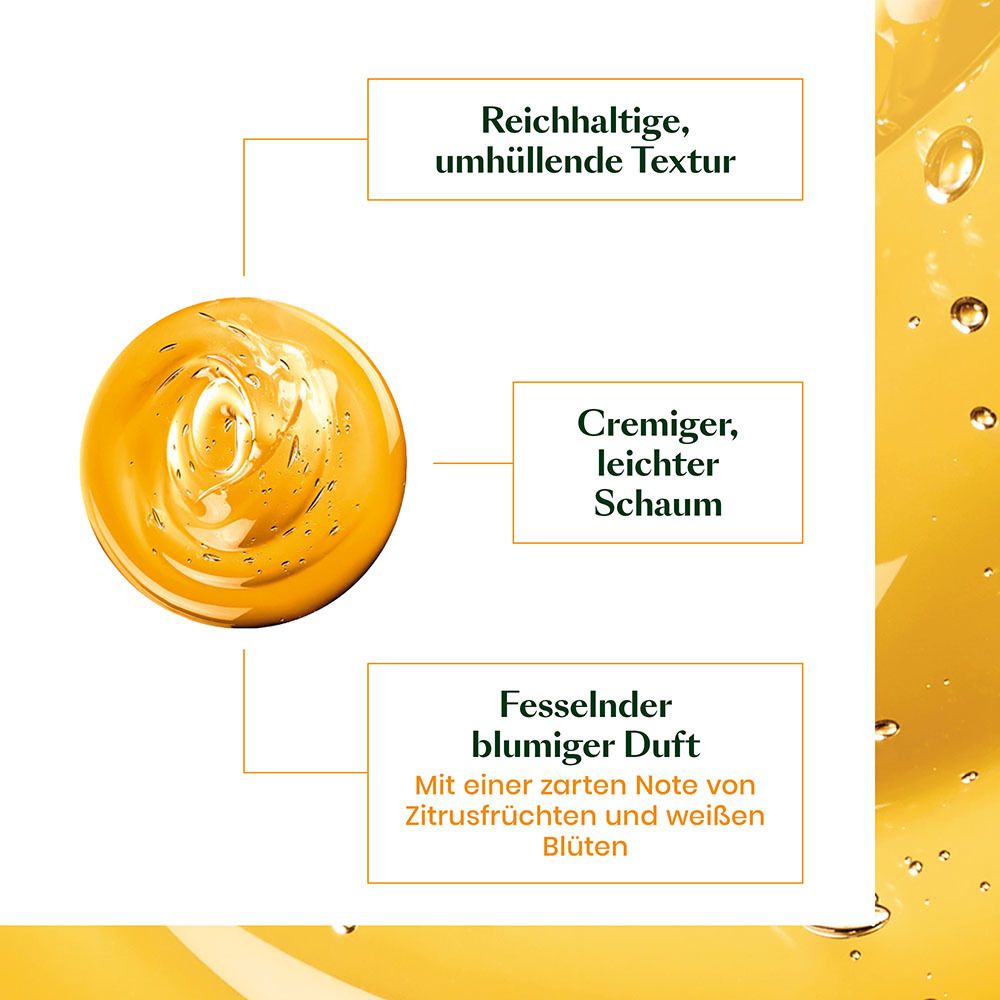 RENE FURTERER Karite Nutri Intensive Shampooing Nourrissant