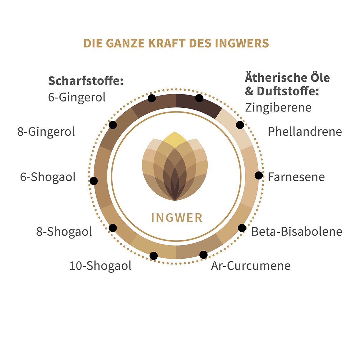 Phytholistic® Gingerin