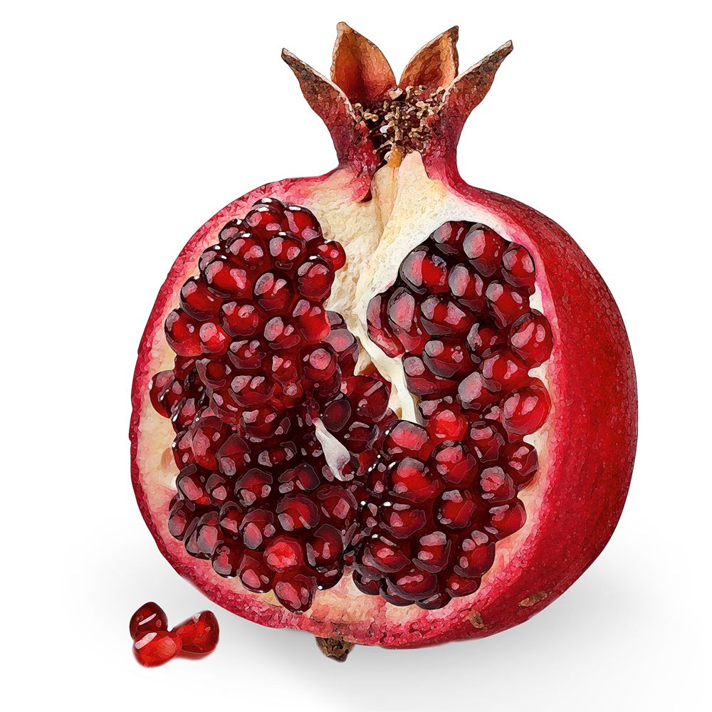 Dr. Jacob's Basen-Riegel Granatapfel Dattel Frucht Protein Vitamin B12 vegan