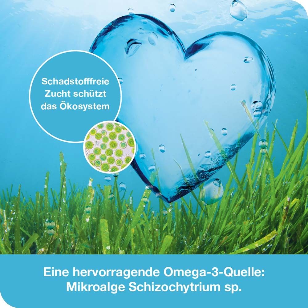 omega3-Loges pflanzlich – Omega-3 Kapseln vegan