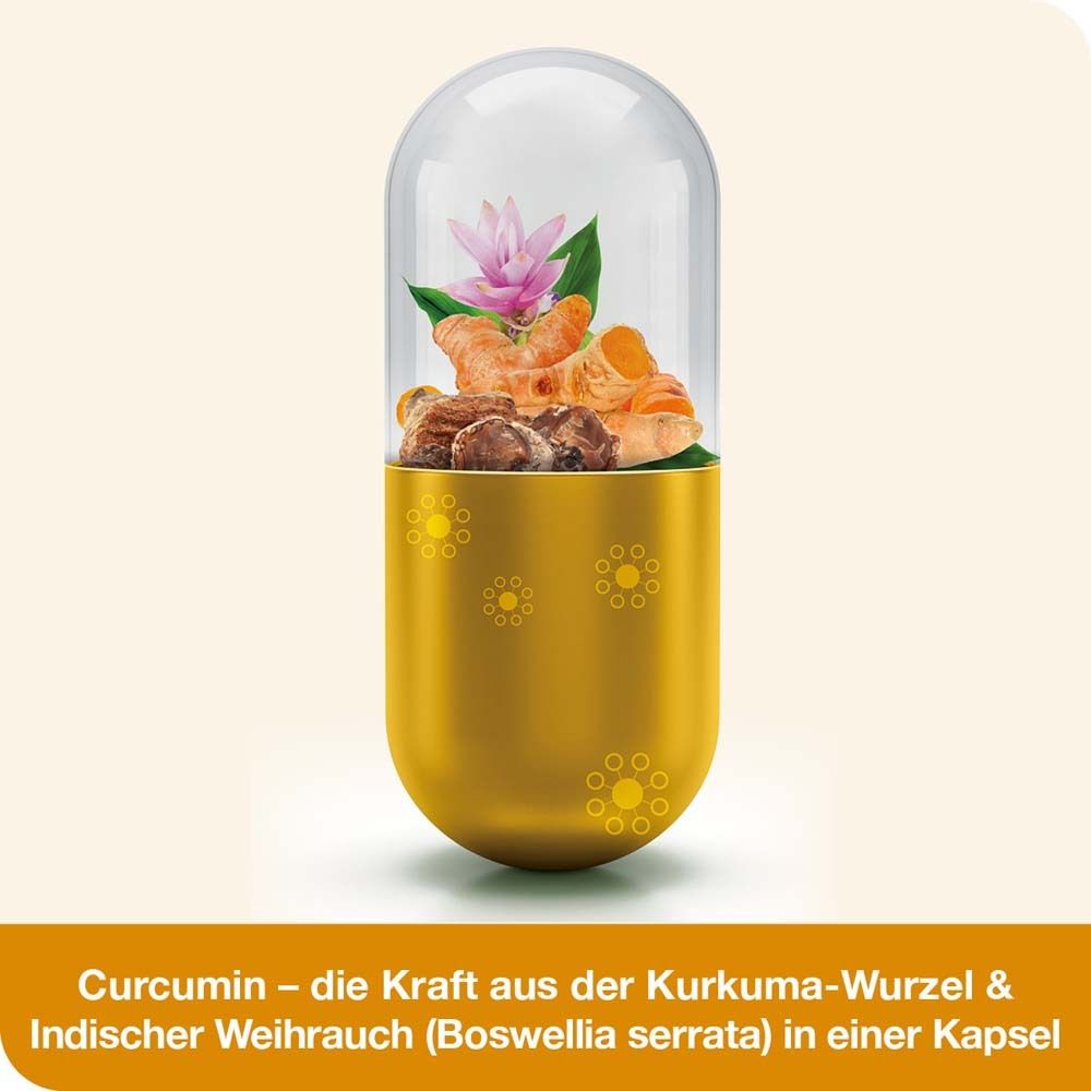 CURCUMIN-LOGES plus Boswellia Kapseln