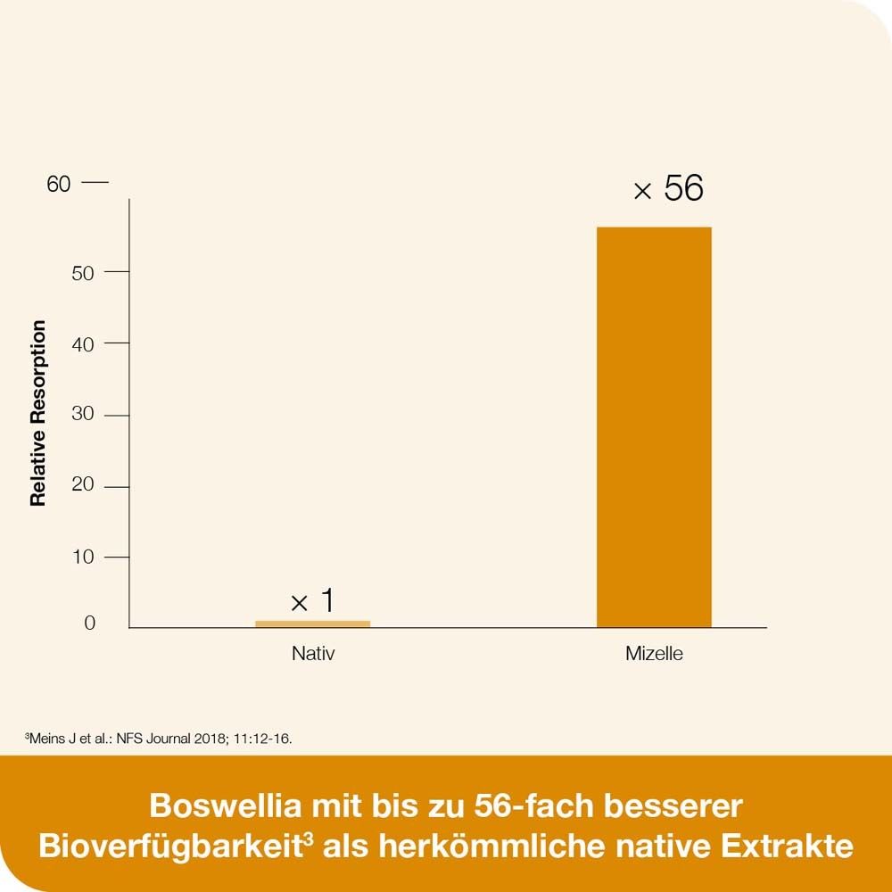 CURCUMIN-LOGES plus Boswellia Kapseln