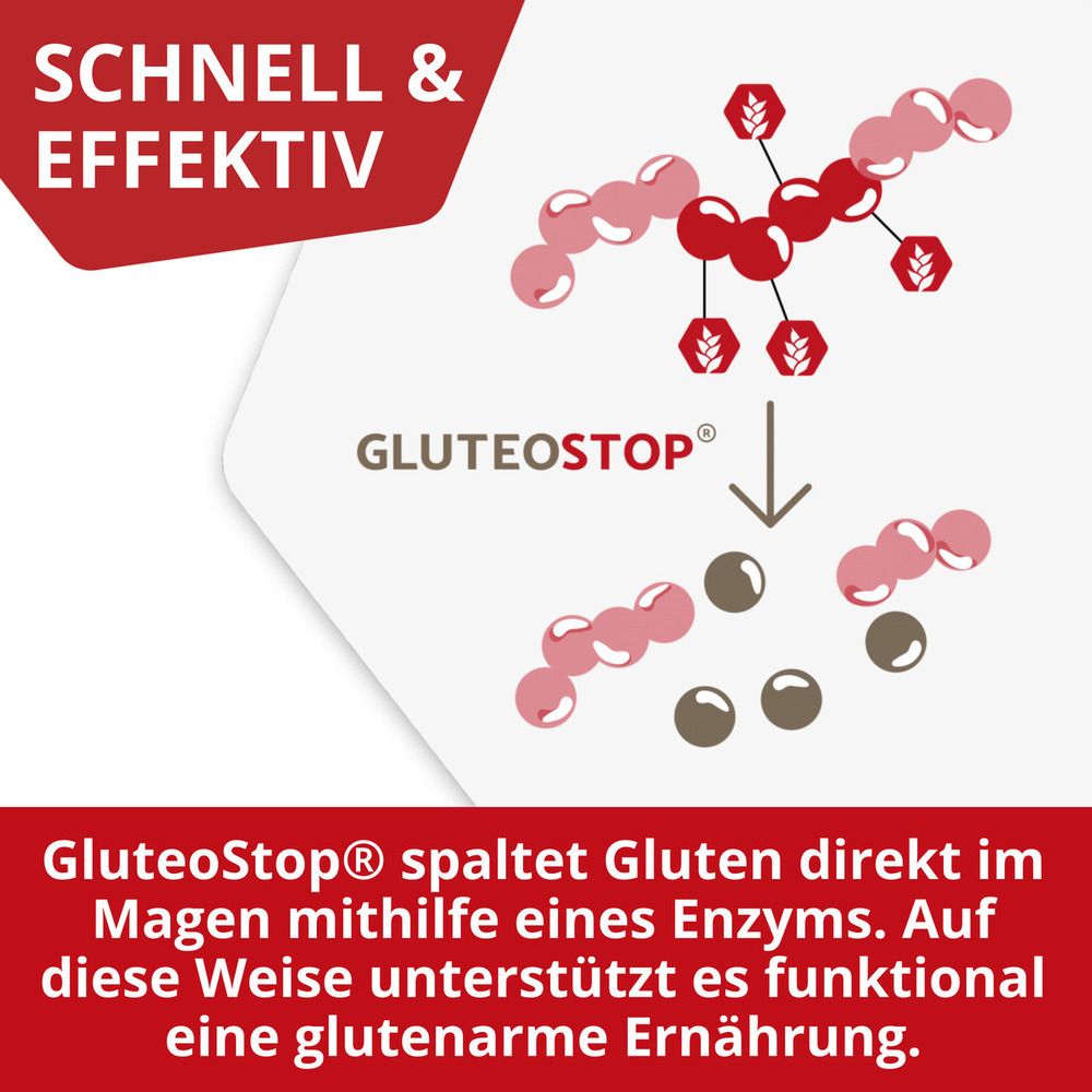 Grafische Darstellung des Enzymabbaus von Gluten durch GluteoStop.