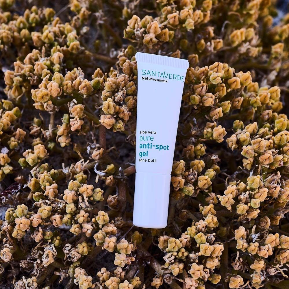 Weiße Tube SANTAVERDE pure anti-spot gel, liegt auf Pflanzen. Aufschrift: aloe vera pure anti-spot gel.