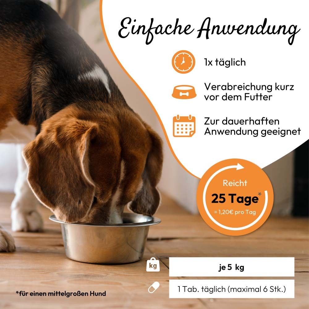 Hund frisst aus einem Napf, daneben eine Dose dogenzyme Darm.