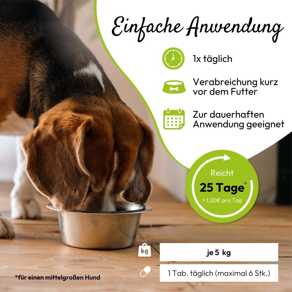 Hund frisst aus Napf. Aufschrift: Einfache Anwendung. Logo PHA petvet. 25 Tage.