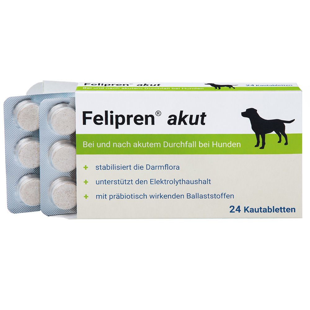 Felipren® aiguë pour chiens