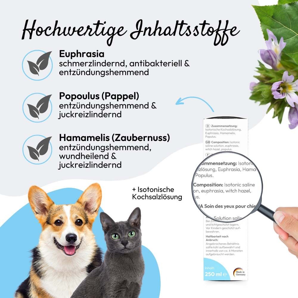 Informations sur le produit avec ingrédients. Loupe montrant du texte. Un chien et un chat sont représentés.