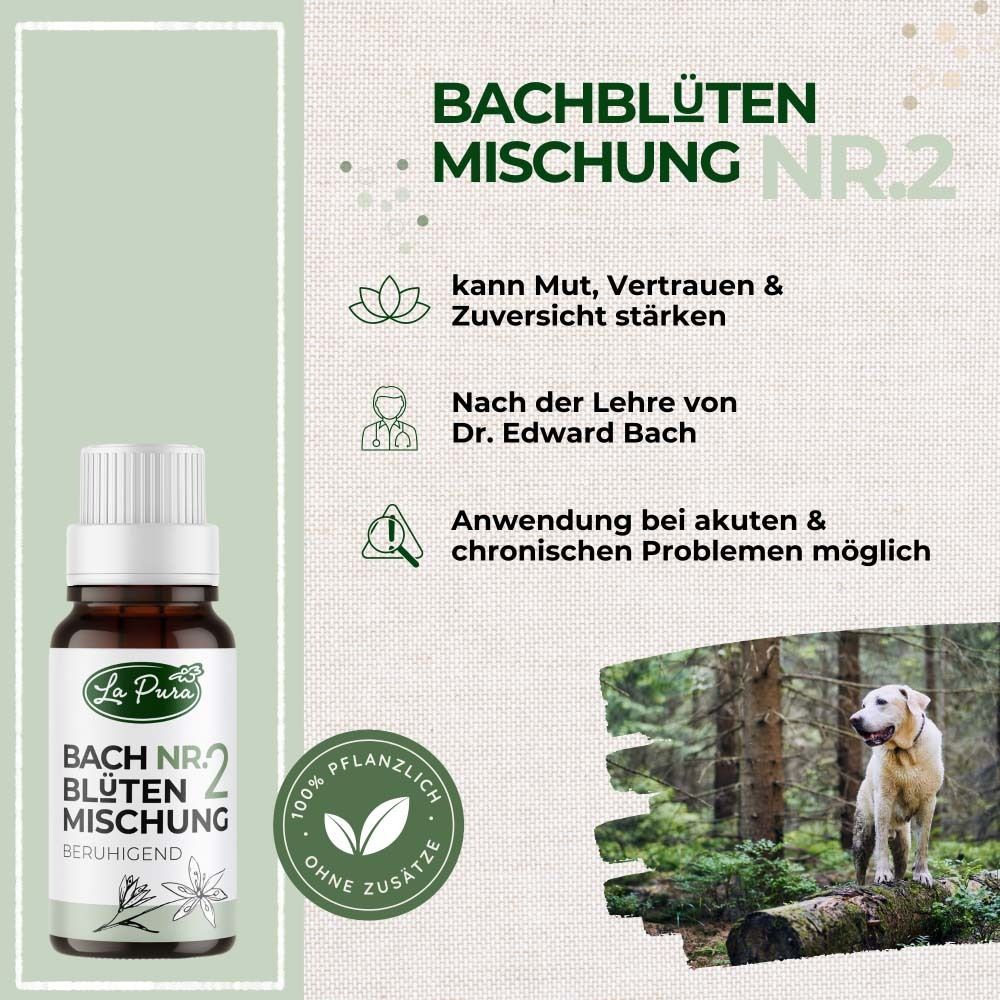 Flacon brun avec bouchon blanc. La Pura Bachblütenmischung Nr. 2. Apaisant. Informations sur l'utilisation et les ingrédients. Chien dans la forêt.