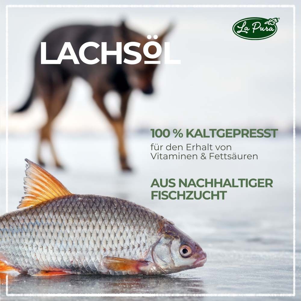 Poisson dans la glace. Inscription: Lachsöl. 100% pressé à froid. Issu d'une pêche durable. Pour chiens, chats, chevaux.