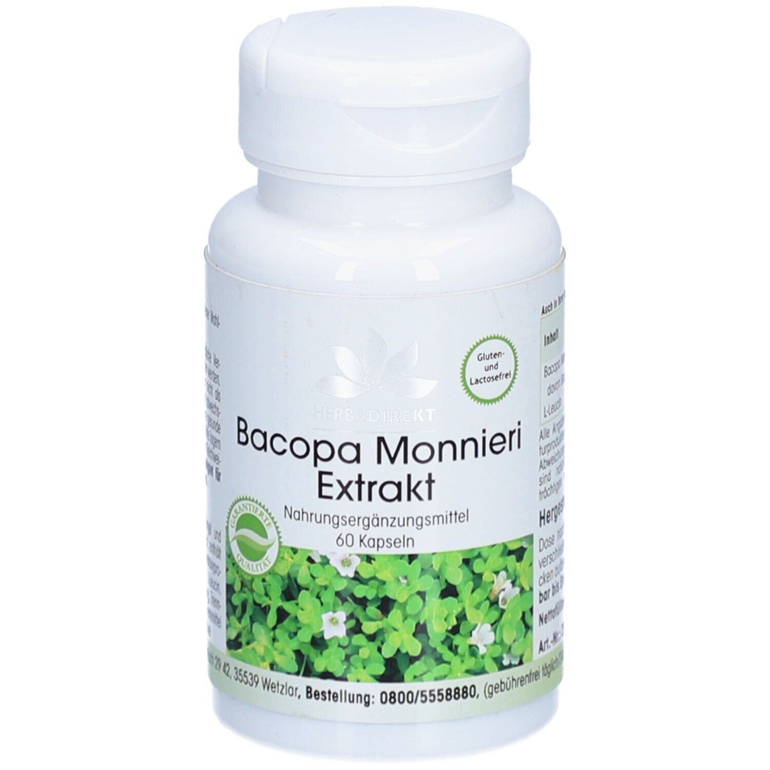 Weiße Flasche mit Kapseln. Aufschrift: Bacopa Monnieri Extrakt. 60 Kapseln. Gluten- und laktosefrei.