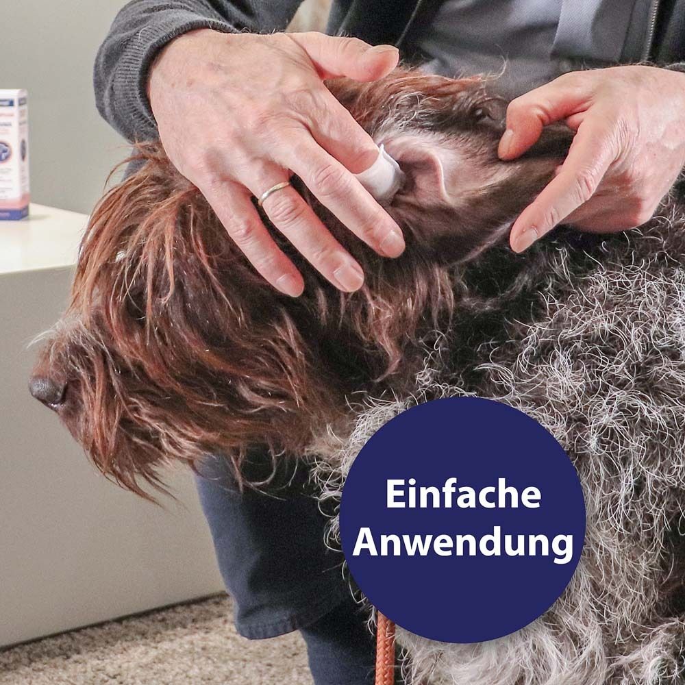 Mains nettoyant l'oreille d'un chien avec une lingette. Cercle bleu avec « Application facile ».