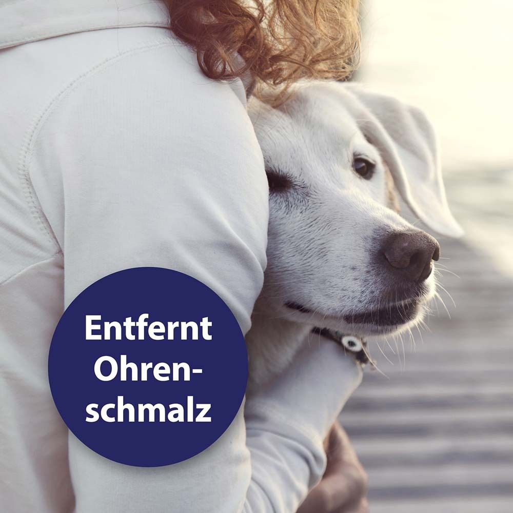 Chien blanc étreint par une personne. Cercle bleu avec texte : « Enlève le cérumen ».