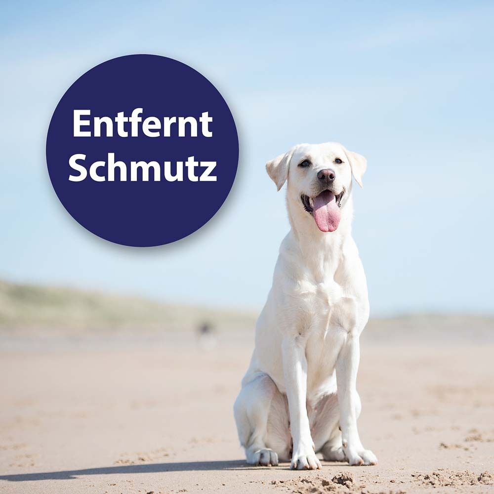 Chien blanc assis sur la plage. Cercle bleu avec texte : « Enlève la saleté ».