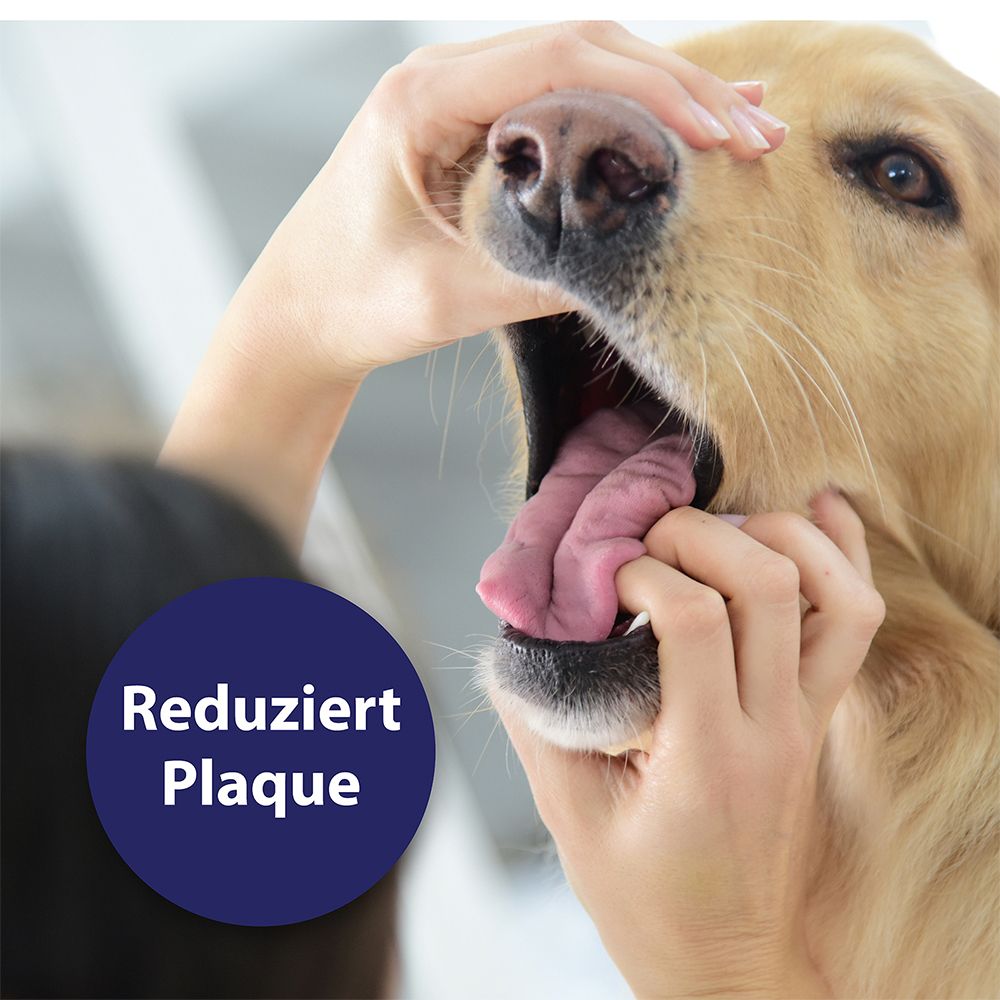 Canosept® Zahnpflege Finger-Pads für Hunde