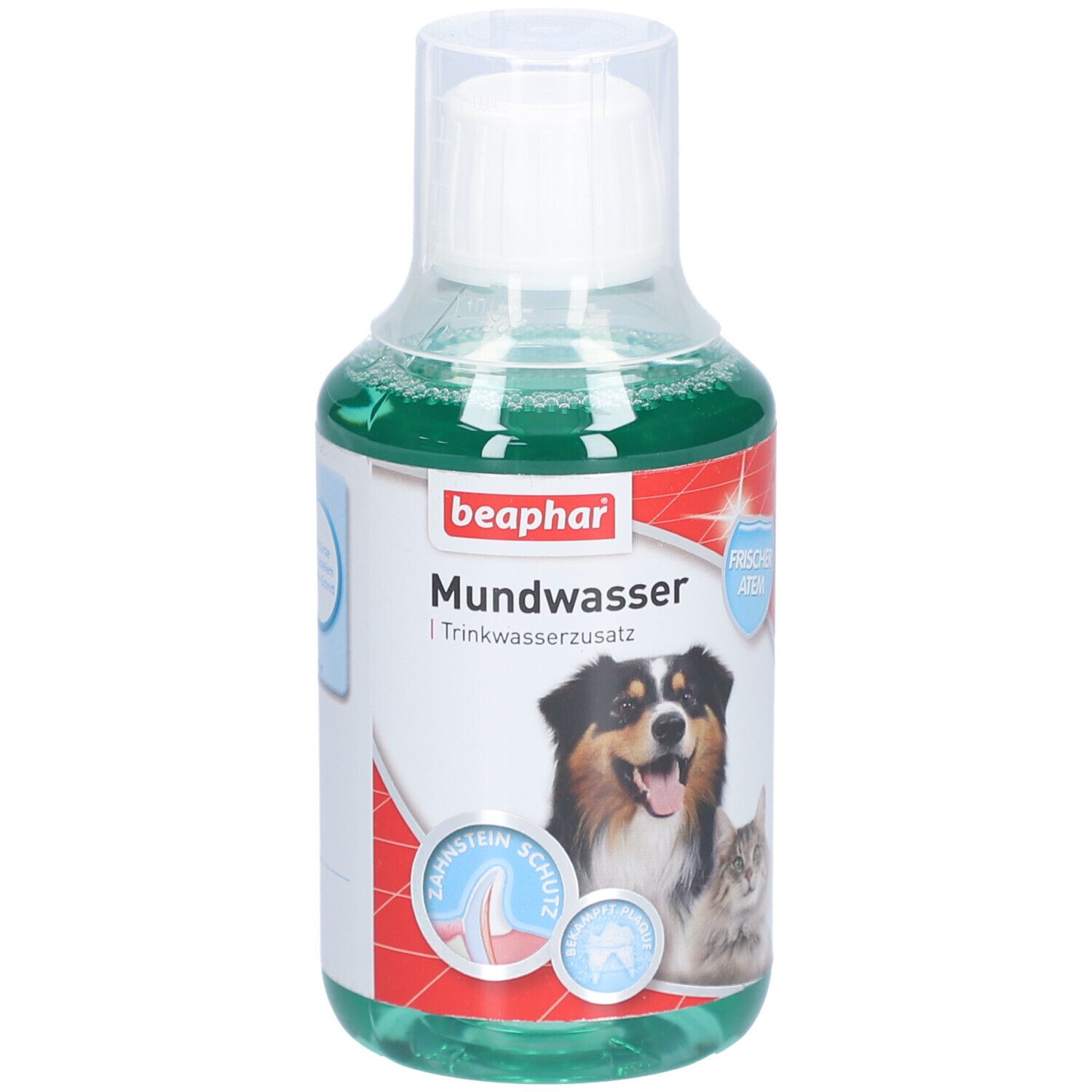 Flacon de Beaphar Mundwasser. Liquide verdâtre. Étiquette avec chien, chat et nom du produit. Symbole de protection dentaire.