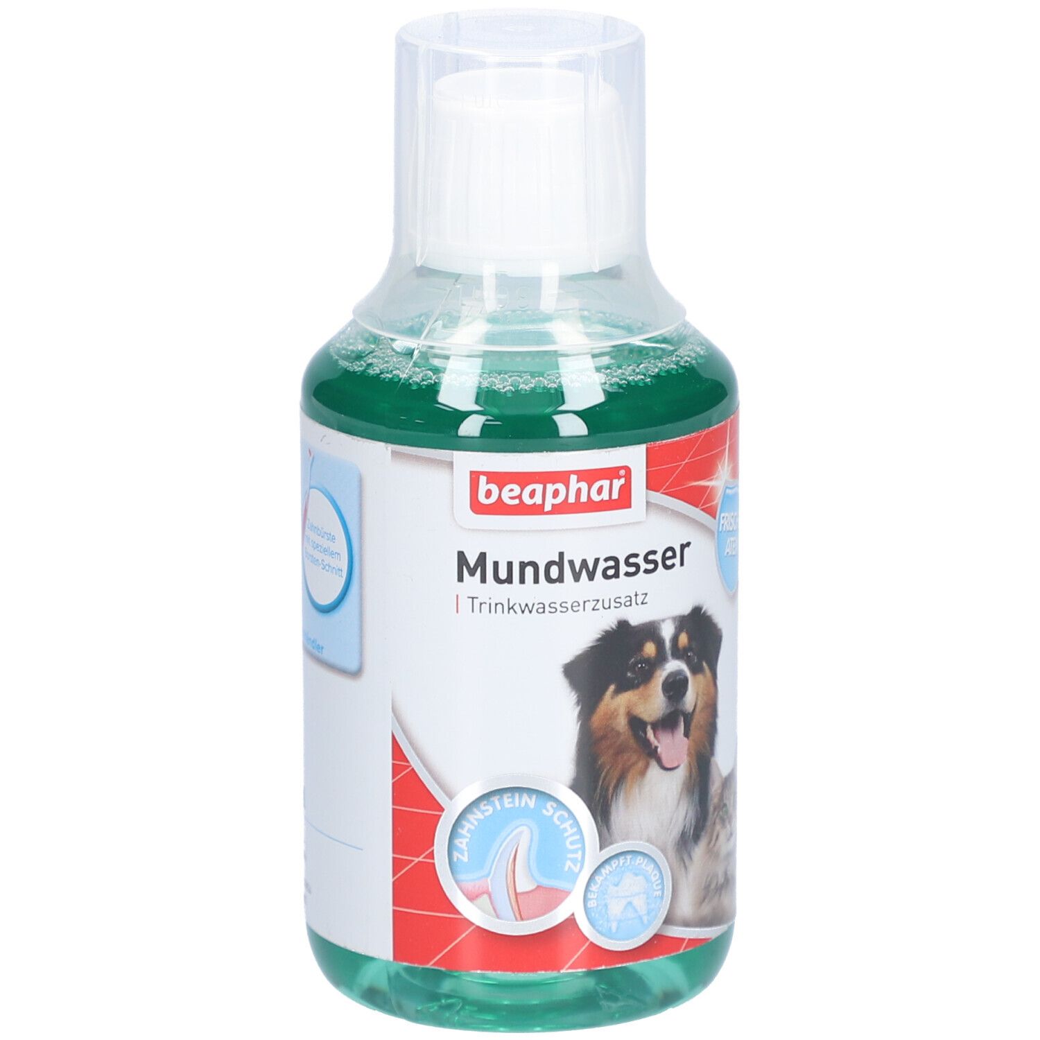 Flacon de Beaphar Mundwasser. Liquide verdâtre. Étiquette avec chien et nom du produit. Symbole de protection dentaire.