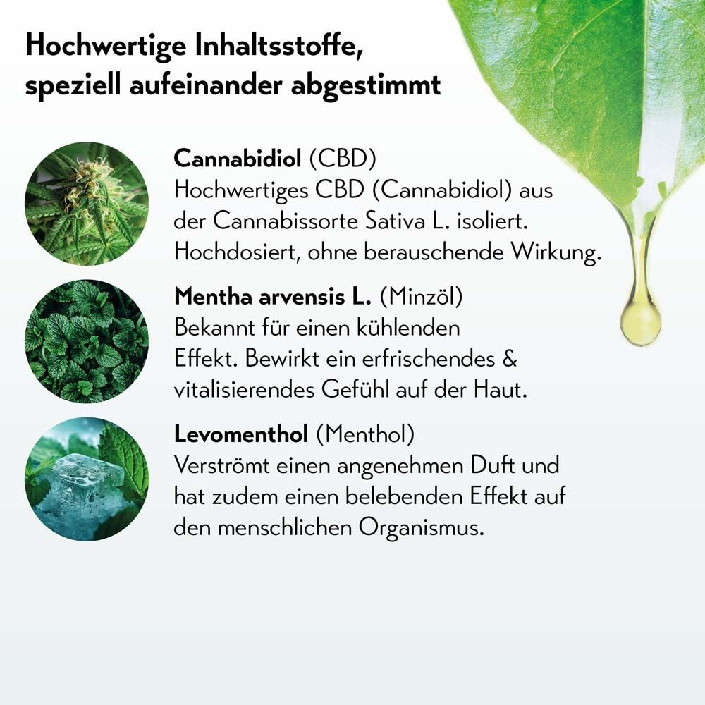 Text über Inhaltsstoffe: Cannabidiol (CBD), Mentha arvensis L. (Minzöl), Levomenthol (Menthol). Abbildung von Blättern und Kristallen.