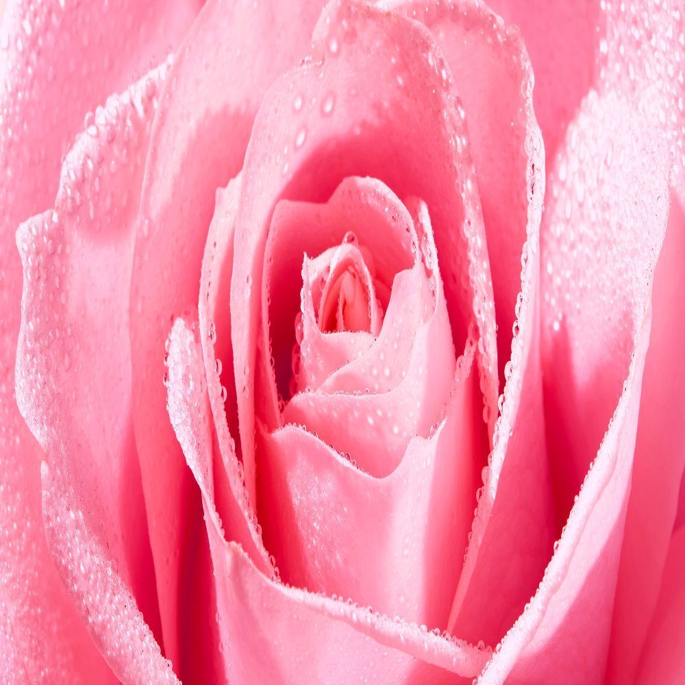 NUXE Very Rose Peeling-Lotion