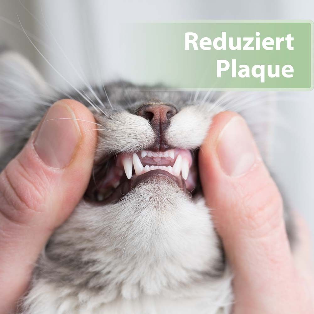 Felisept® Hygiène dentaire doigtiers pour chats