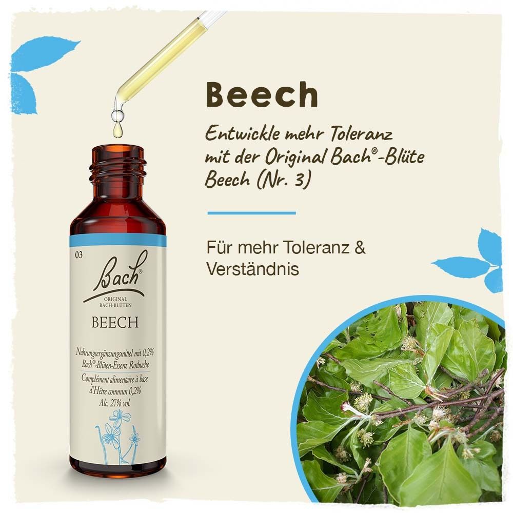 Braune Flasche mit Tropfer. Text: Beech, Original Bach-Blüte. Grünpflanze und Text auf blauem Hintergrund.