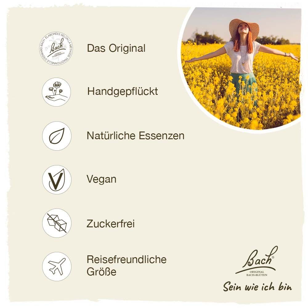 Verschiedene Logos und Texte auf cremefarbenem Hintergrund. Vegan, zuckerfrei, reisefreundliche Größe.