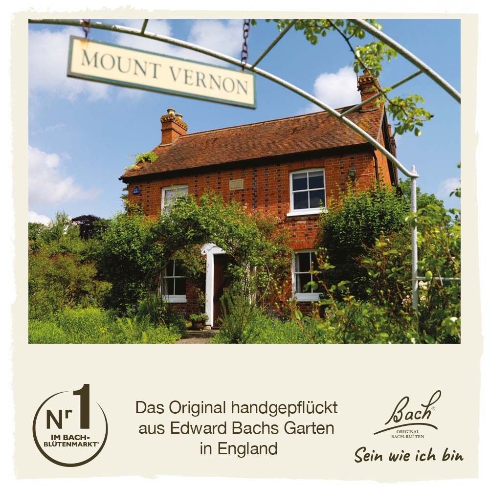 Haus mit Schild Mount Vernon. Text: Das Original handgepflückt aus Edward Bachs Garten in England.